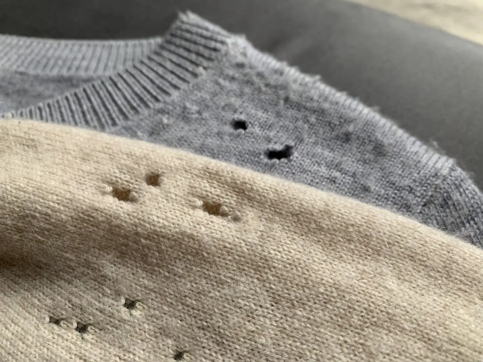Baju Anda Berlubang? Ini Mungkin Disebabkan Oleh 3 Serangga Pemakan Baju