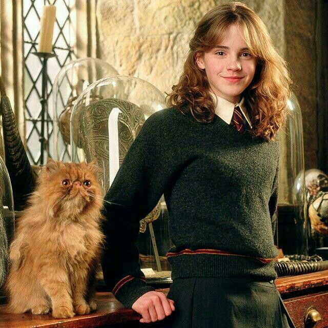 Tertarik Memiliki Hewan Peliharaan? Baca Dulu Novel Harry Potter