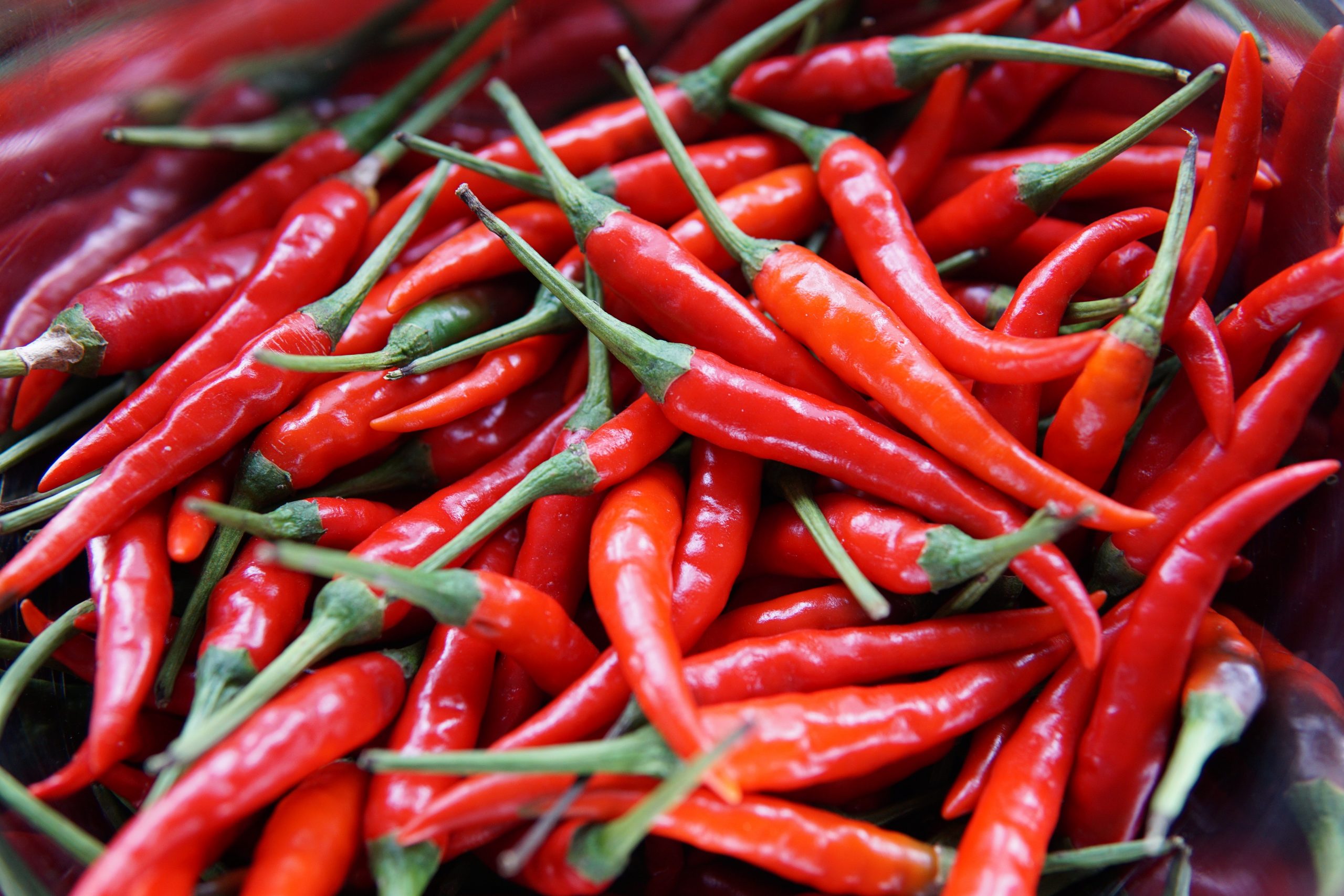 Sains Di Sebalik Cili dan Makanan Pedas