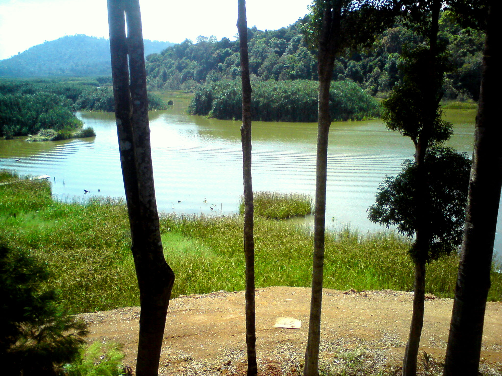 Tiada Pelan Pengurusan Yang Jelas Antara Punca Tasik Chini Tidak Penuhi Kriteria UNESCO