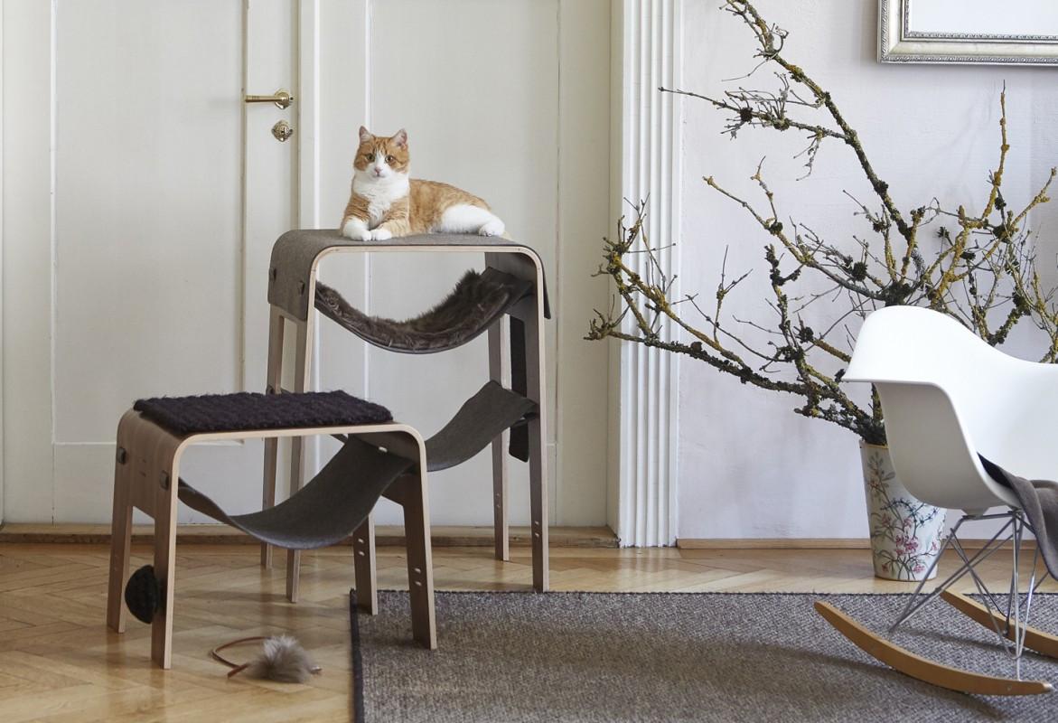 Mengenal Hotel Khusus Kucing Di Paris 