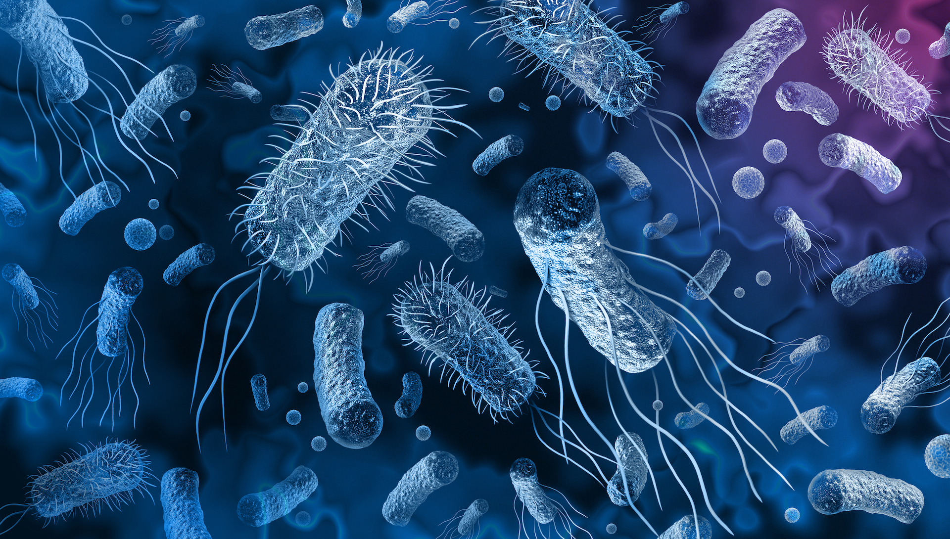 ‘Superbugs’ – Bagaimana Ia Boleh Menjadi Punca Kematian Hampir 5 Juta Nyawa Di Seluruh dunia?