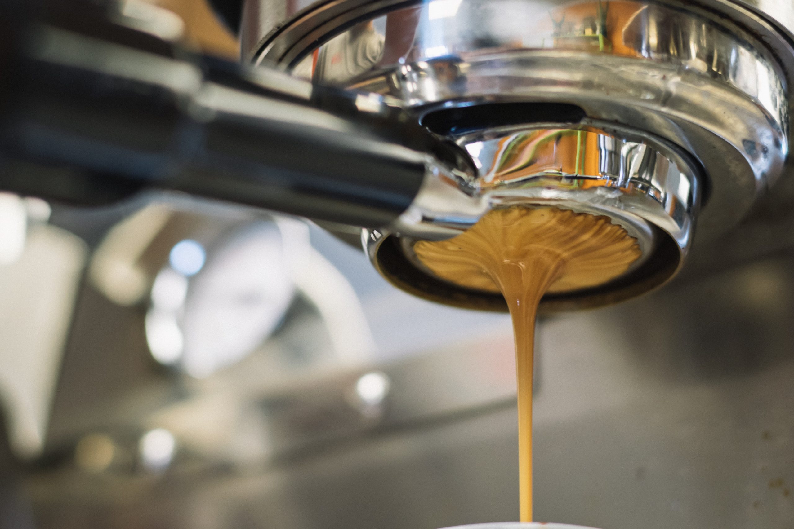 Populariti Cappuccino, Bagaimana Ia Tercetus?