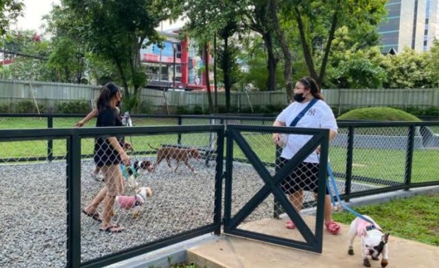 Kesejahteraan Hewan Hingga Area Pet Park Di  Taman Tebet