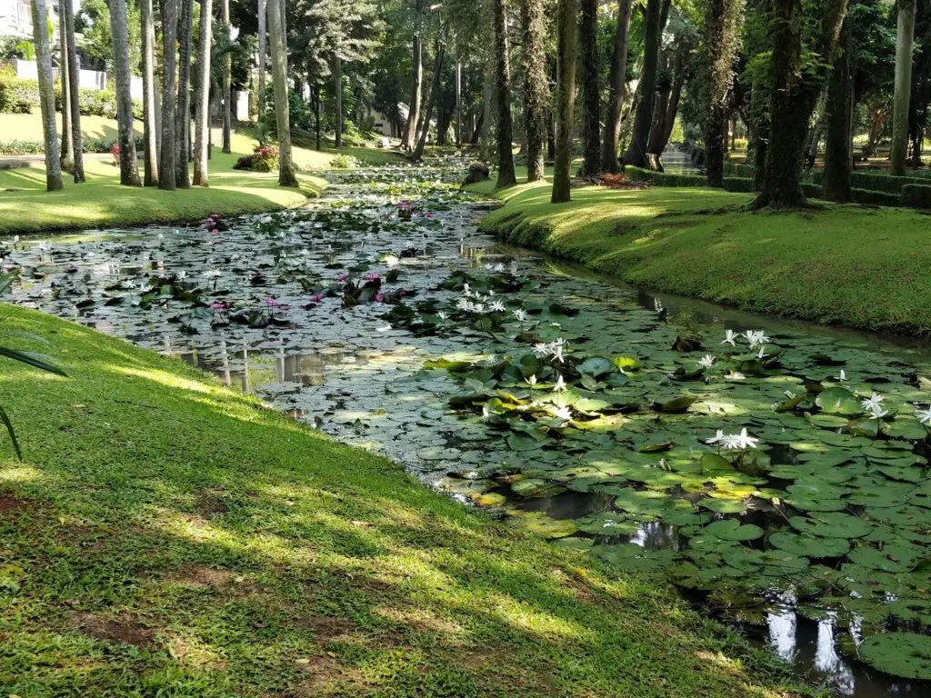Park Hopping Tour Membawamu Mengenal Keanekaragaman Hayati Di Taman&nbsp;