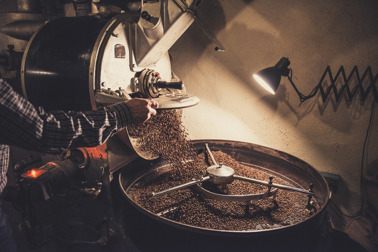 Malaysia Merupakan Pengeluar Biji Kopi Liberica – Biji Kopi Yang Sukar Untuk Ditemui
