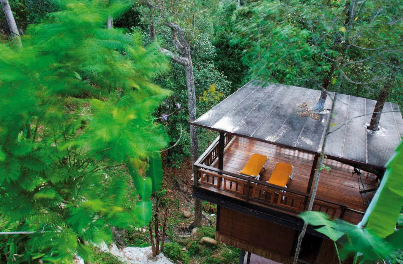 7 Tempat Penginapan Airbnb Yang Boleh Anda Tempah Sambil Menikmati Kelazatan Durian