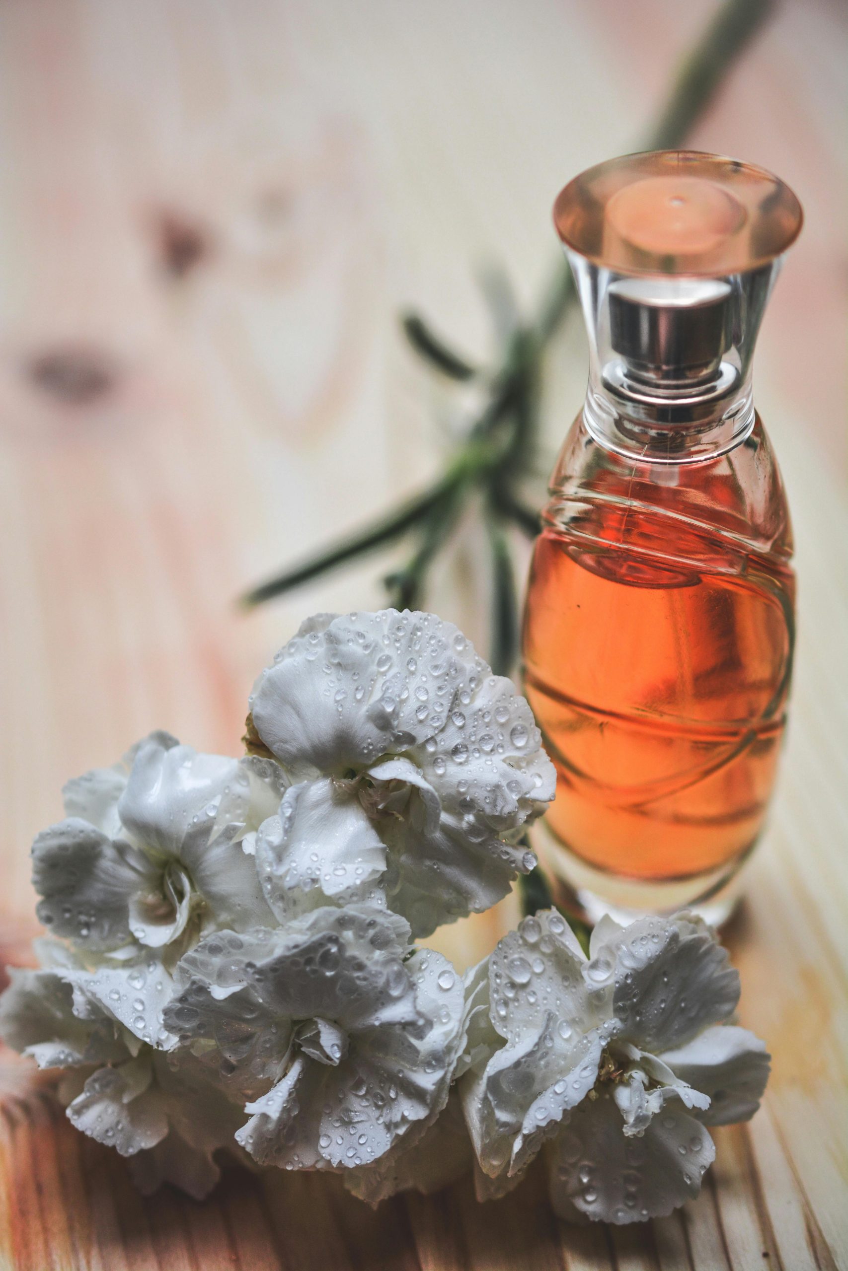 Pemburu & Peramu Aroma 
