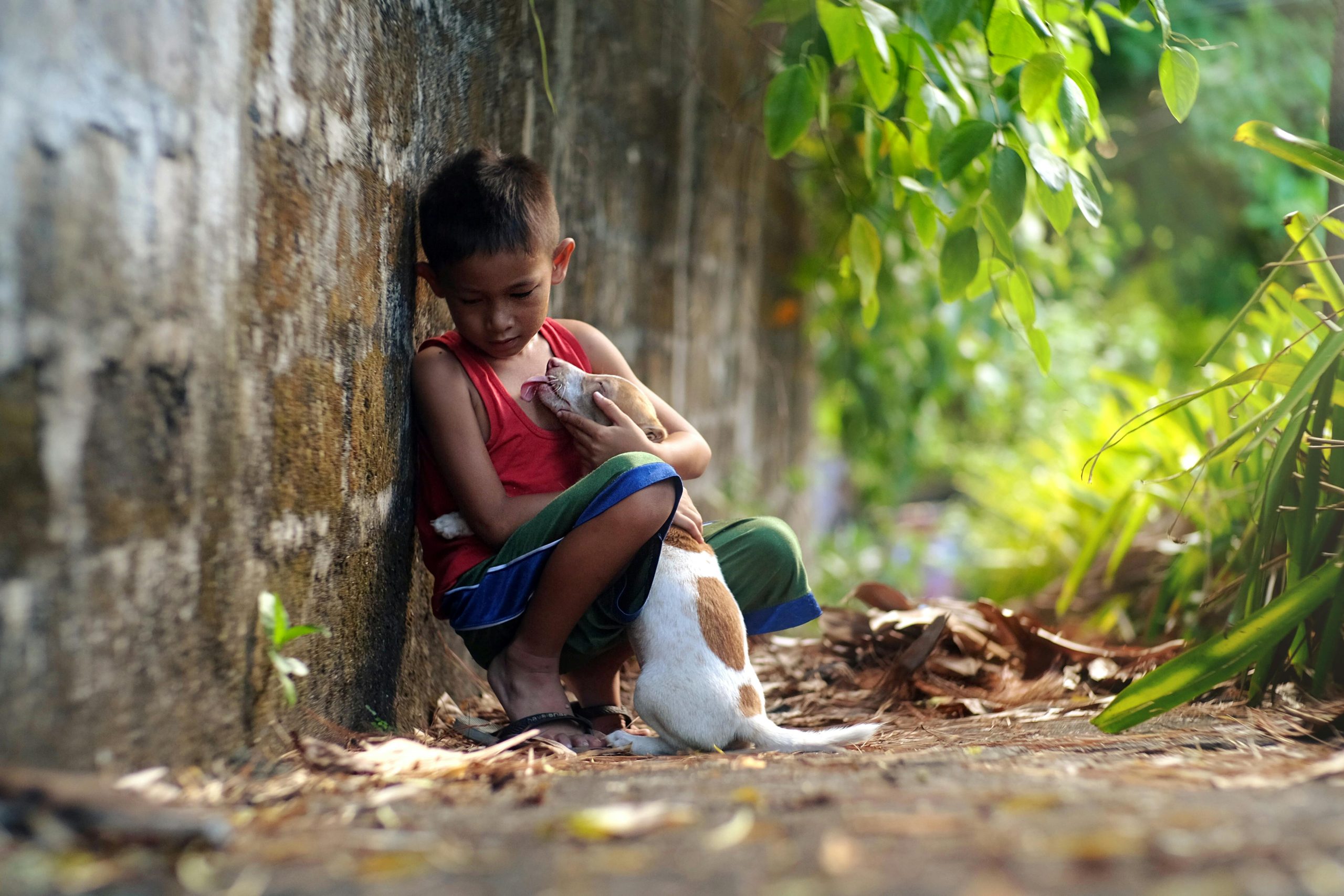 Ketika Binatang Peliharaan Mati 