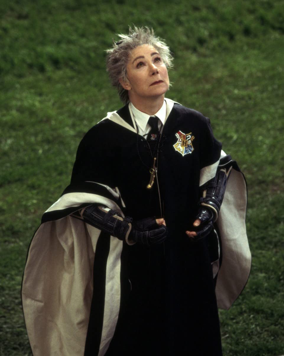Para Wasit Dalam Kisah Harry Potter 