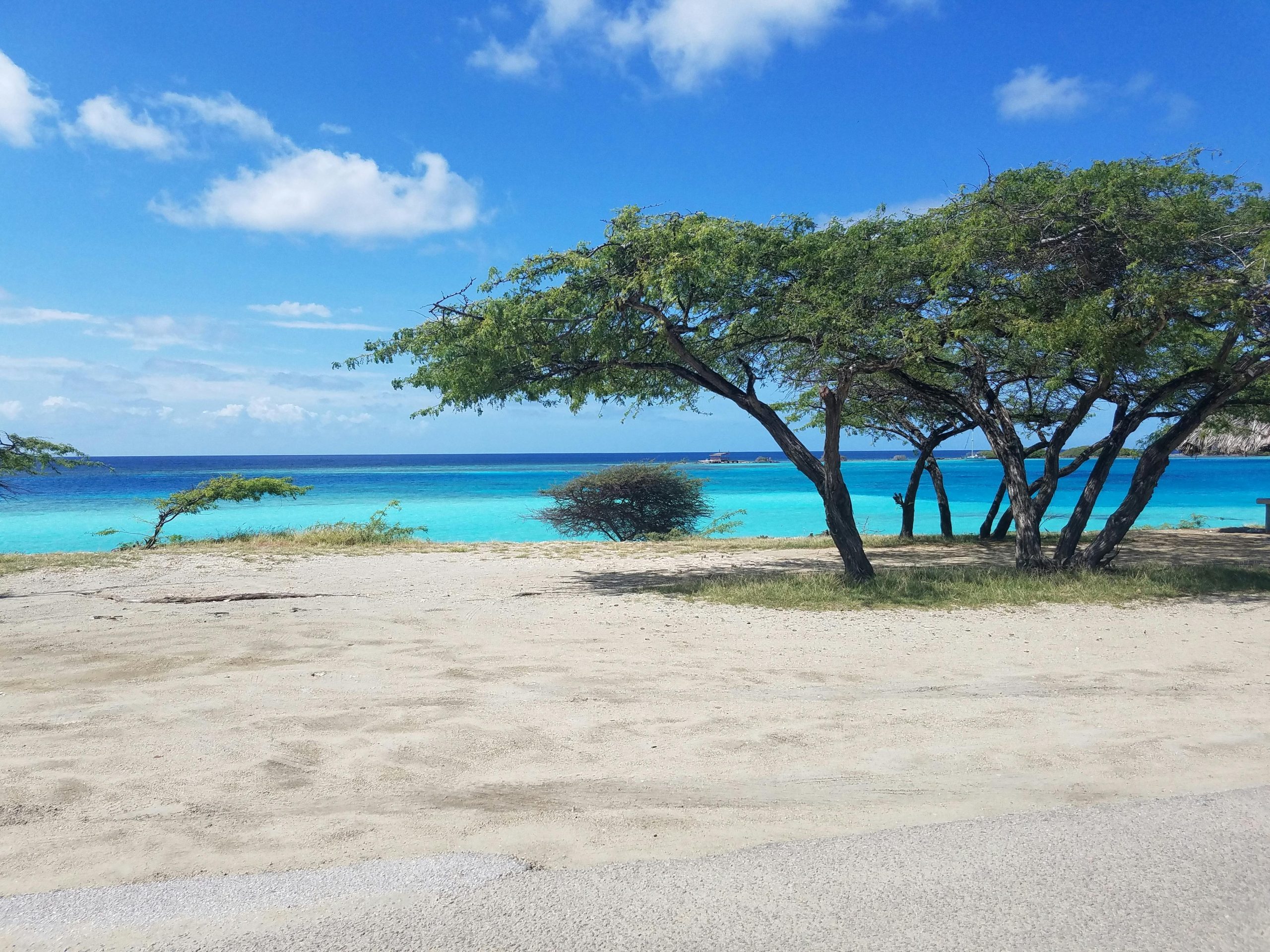 Tips Bertahan Hidup Di Pulau