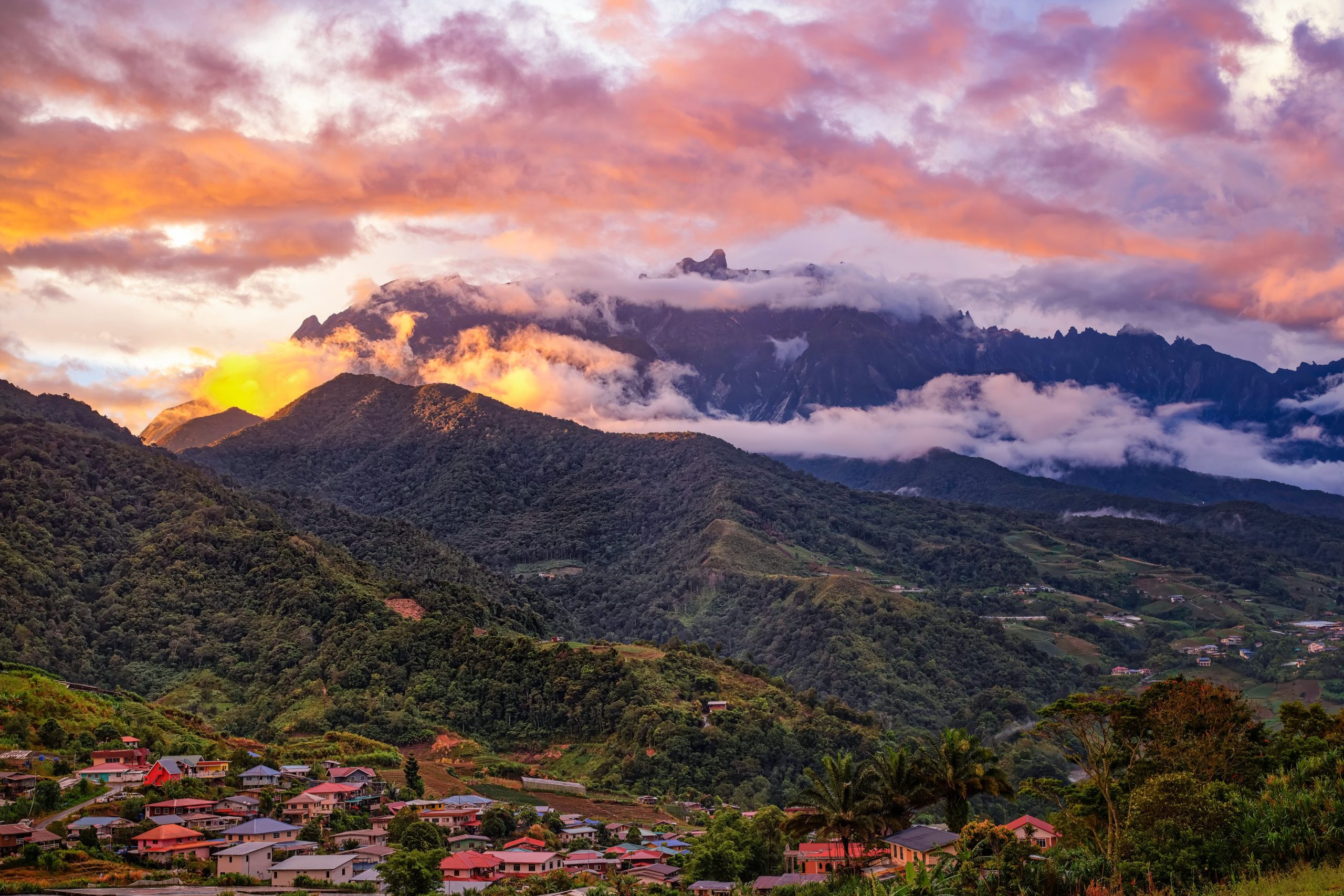 Terokai Keindahan Taman Kinabalu Dan Tapak Warisan Dunia UNESCO Menerusi Google Arts & Culture
