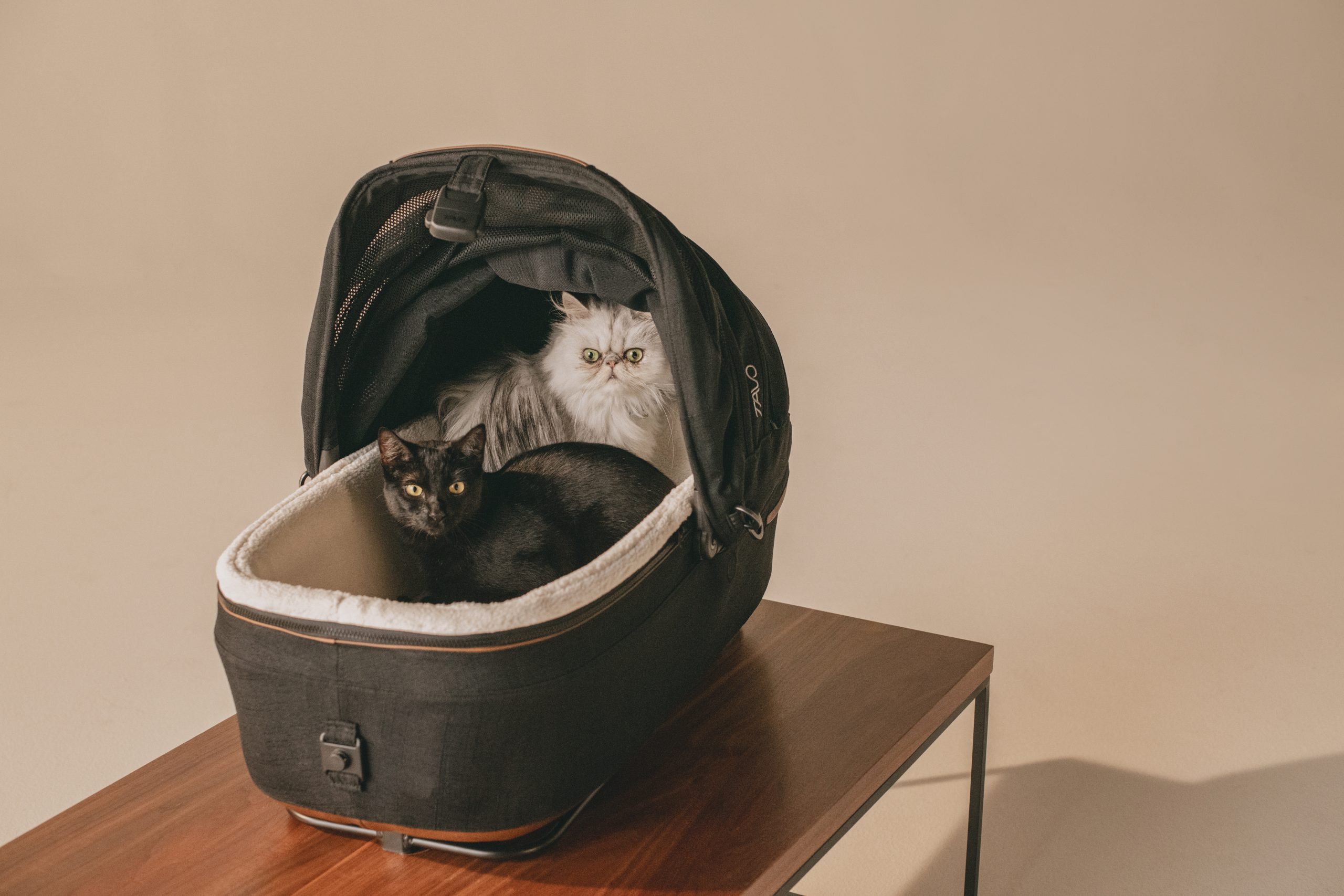 Maeve Oleh Tavo, Tempat Duduk Kereta Haiwan Peliharaan Pertama Di Malaysia Yang Diuji Mengikut Piawaian Keselamatan Kanak-Kanak